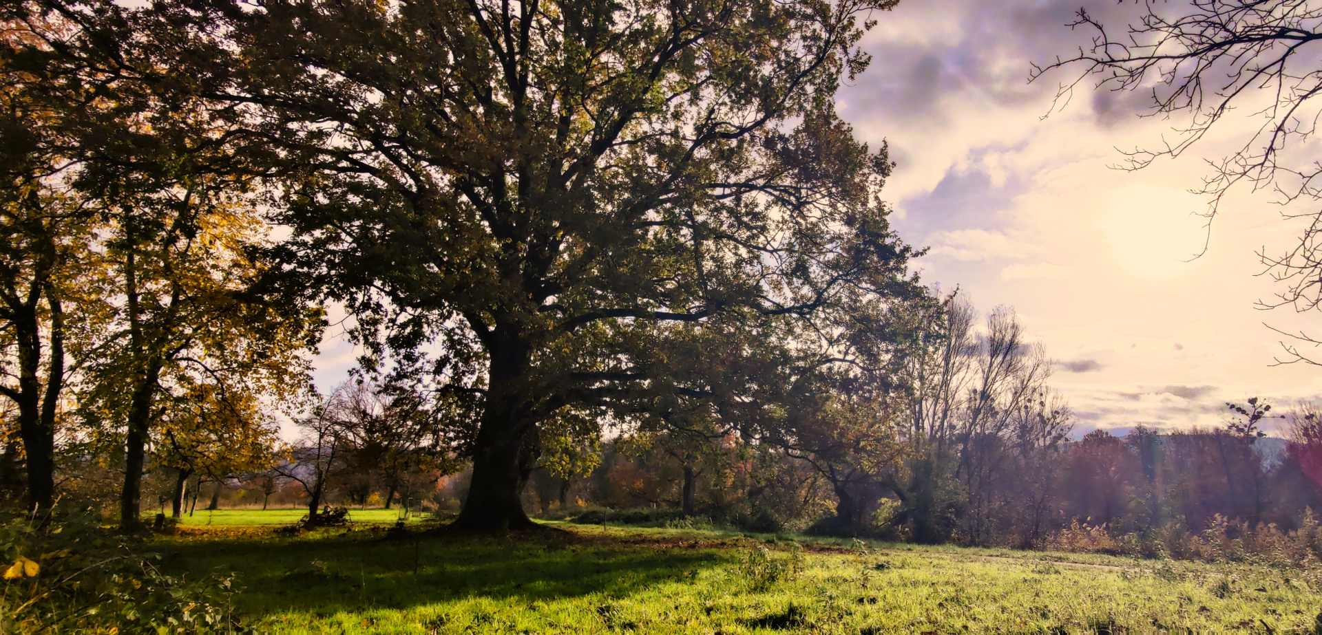 Wildvertraut – der Weg zurück ins Lebendige