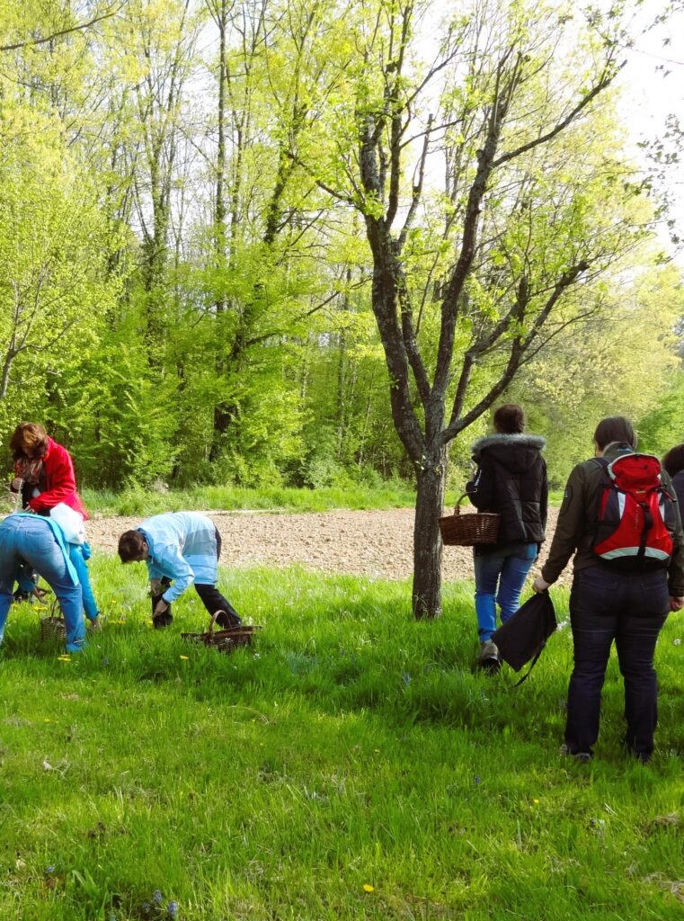 Gruppe von Menschen bei einer Kräuterwanderung – gemeinsames Erleben von Wildpflanzen und Naturverbindung