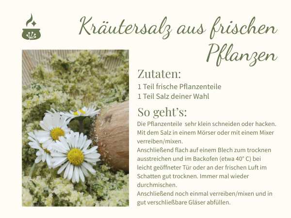 Anleitung zur Herstellung von Kräutersalz mit frischen Kräutern, fotografisch dargestellt als Schritt-für-Schritt-Rezept.