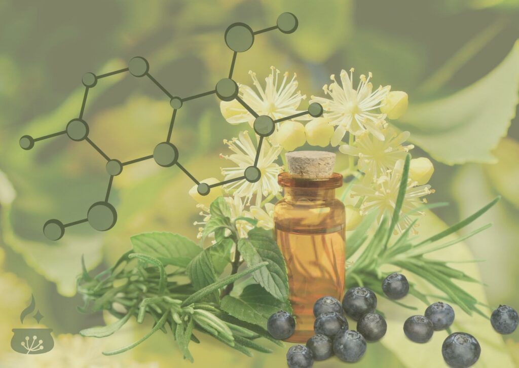 Flavonoid-Molekülstruktur vor Lindenblüten, mit Kräutern und einem braunen Glasfläschchen.