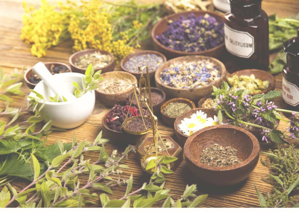 Traditionelle Kräuter, alte Glasflaschen und eine kleine Waage auf einem Holztisch – klassische Volksheilkunde.