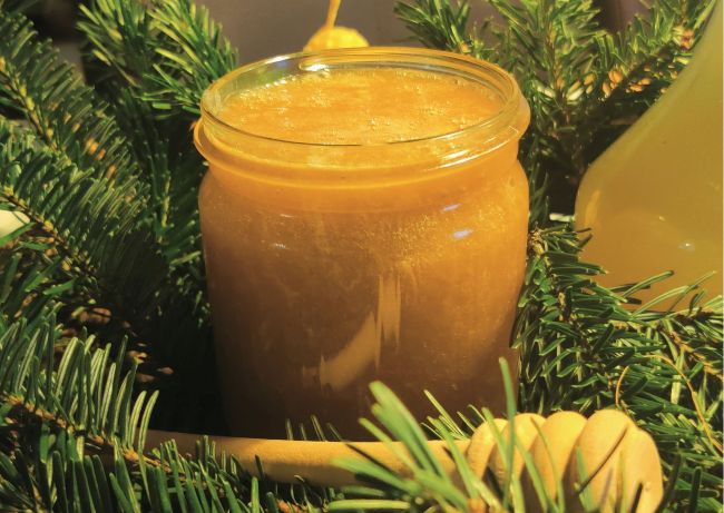 Honig als zentrale Zutat im Oxymel, eingebettet in Tannenzweige