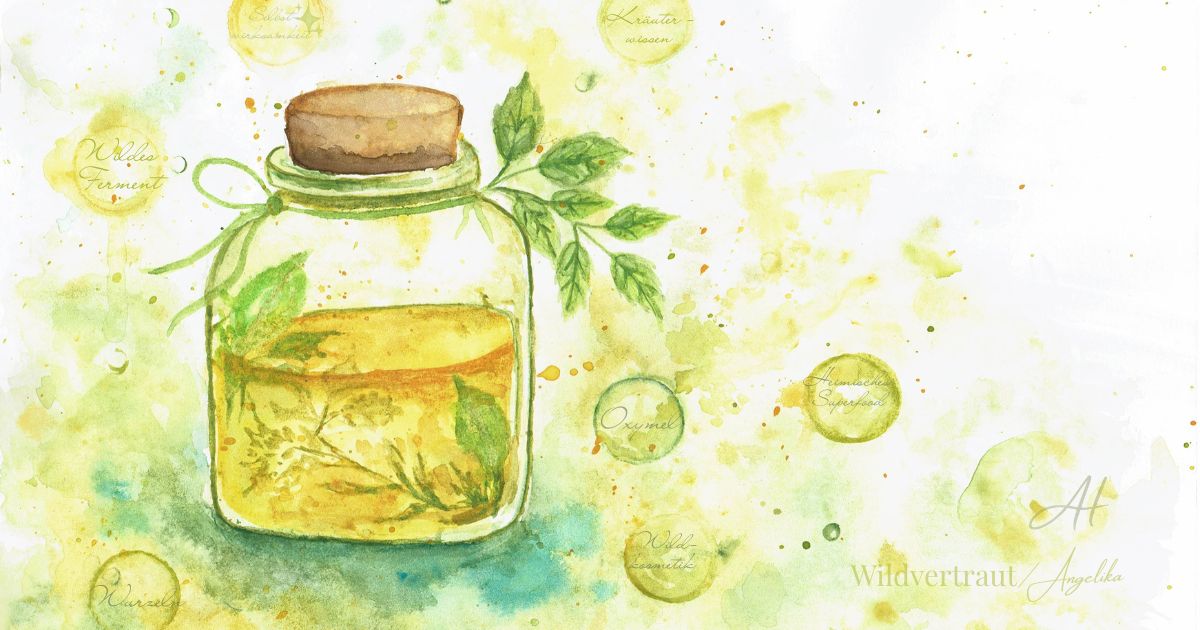 Kräutertrends 2026 – Wie altes Wissen neue Wege weist