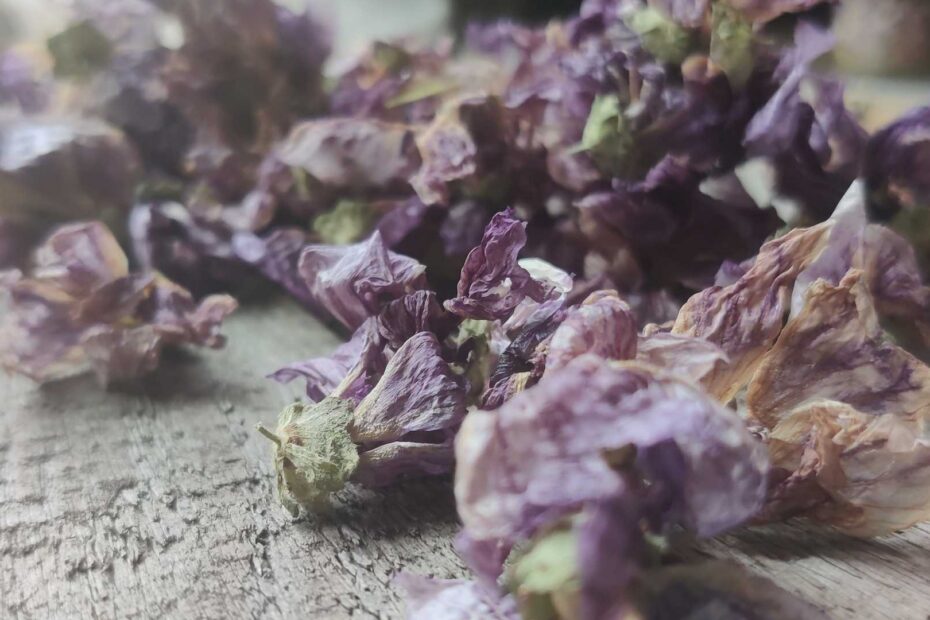 Getrocknete Malvenblüten auf einem Holzbrett als Beispiel für alte Kräutervorräte